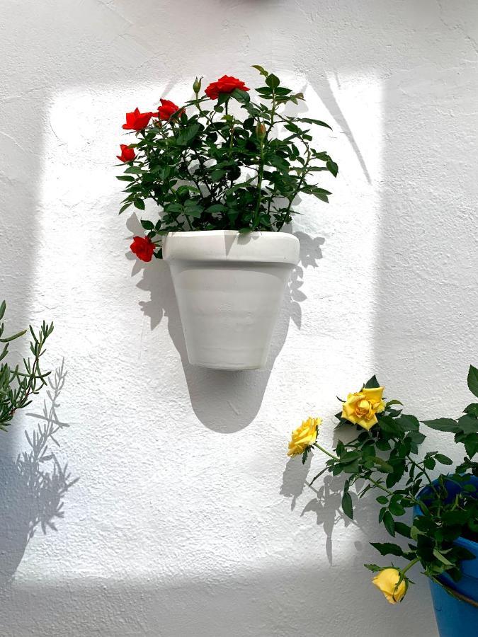 Casa Rural Les Avies Cerca Del Mar La Nucia Bagian luar foto